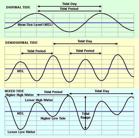 Mixed tide cycle with uneven high and low tides