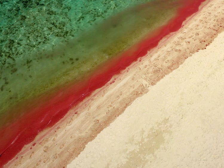 Red Tide from Above