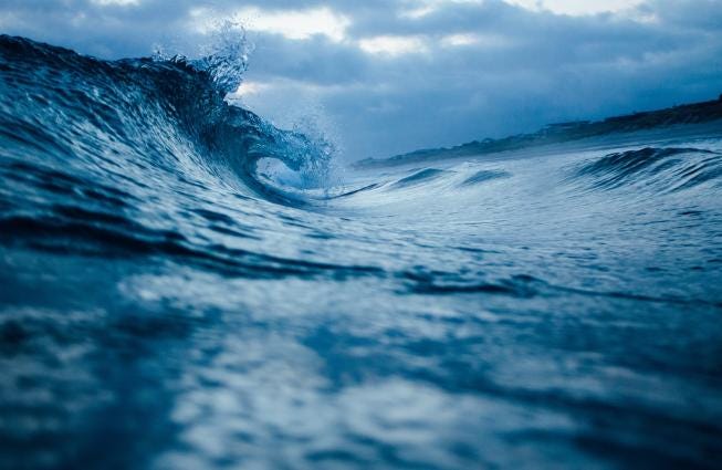 Seas the Day!
